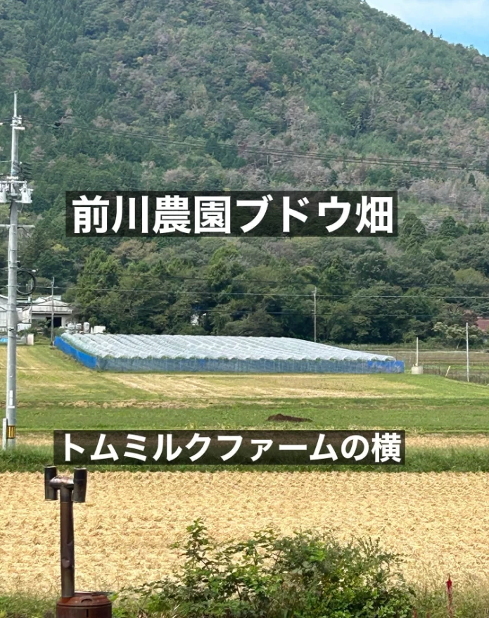 支所長ニュース 縦画像3